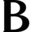 Brintons logo